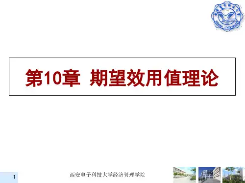第10章期望效用值理论-精品文档