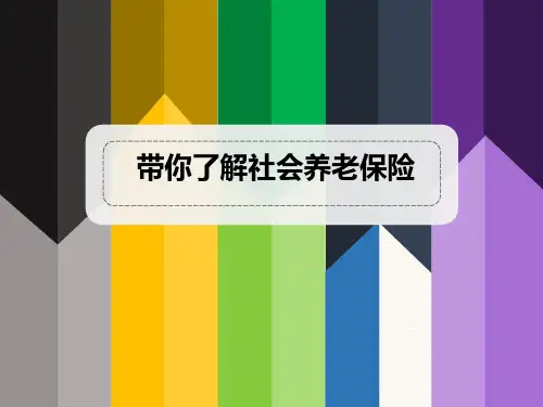 空账成因中国养老保险问题解析