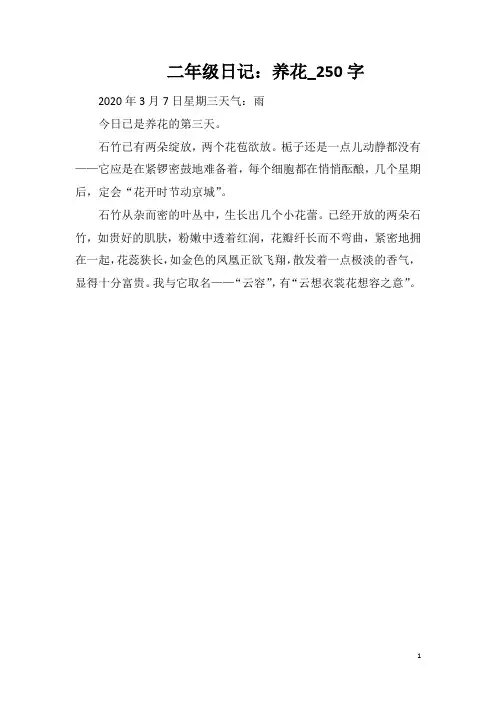 二年级日记：养花_250字