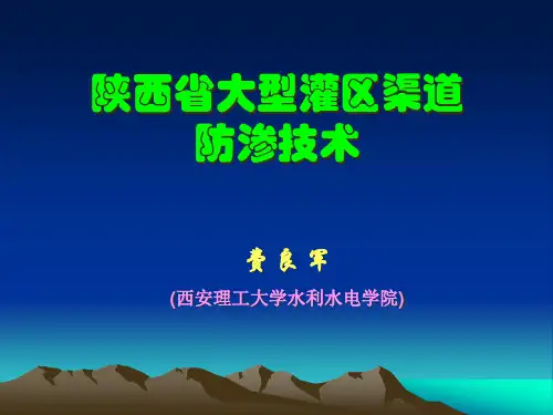 陕西省大型灌区渠道