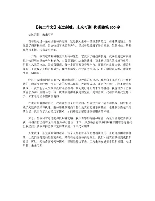 【初二作文】走过荆棘,未来可期 优秀随笔500字