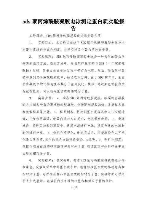 sds聚丙烯酰胺凝胶电泳测定蛋白质实验报告