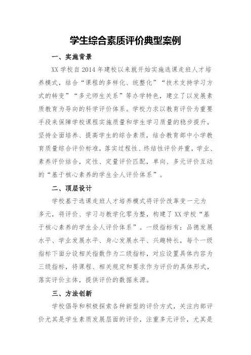 学生综合素质评价典型案例