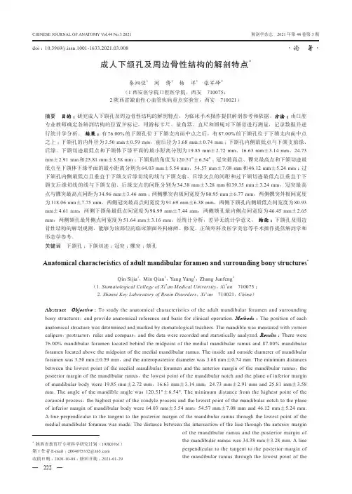 成人下颌孔及周边骨性结构的解剖特点