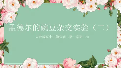 人教版高中生物必修二第一章第二节孟德尔豌豆杂交实验二