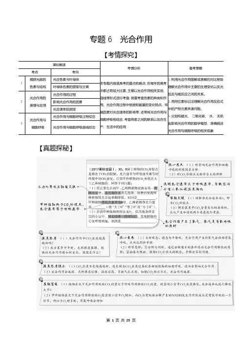 2021生物高考 高考生物 培优 专题6 光合作用(试题部分)