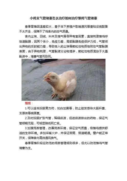 小鸡支气管堵塞怎么治疗如何治疗雏鸡气管堵塞