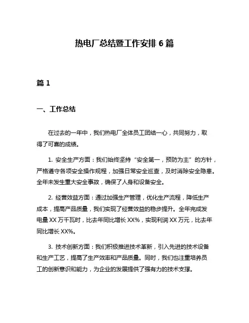 热电厂总结暨工作安排6篇