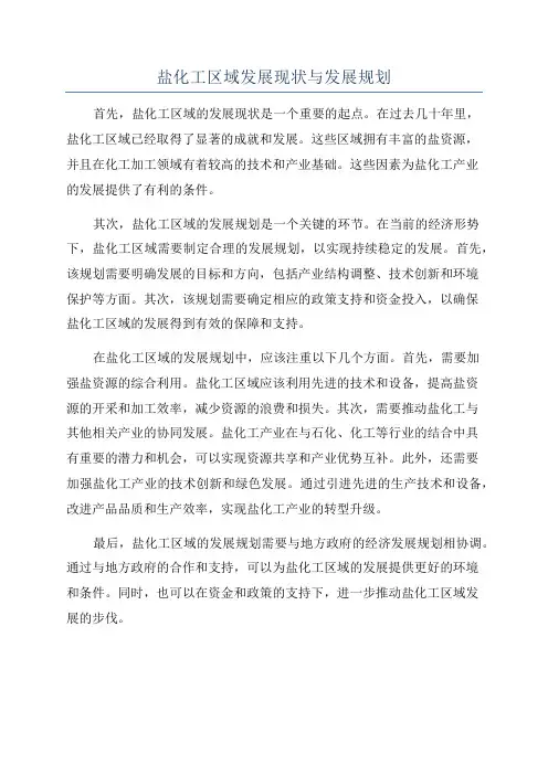 盐化工区域发展现状与发展规划
