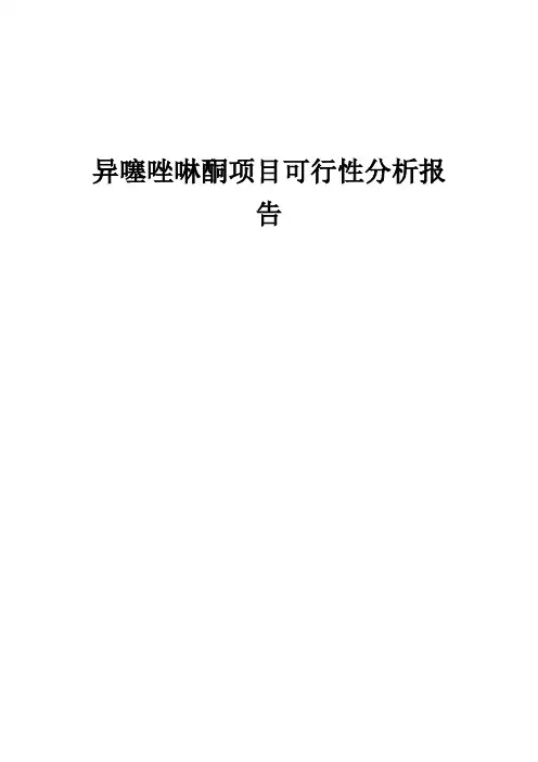 2024年异噻唑啉酮项目可行性分析报告