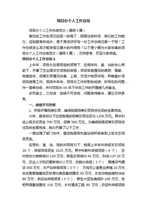 项目办个人工作总结范文（通用5篇）