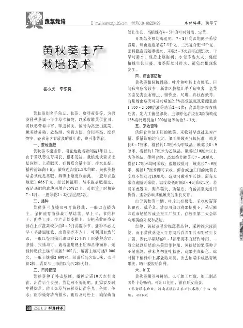 黄秋葵丰产栽培技术