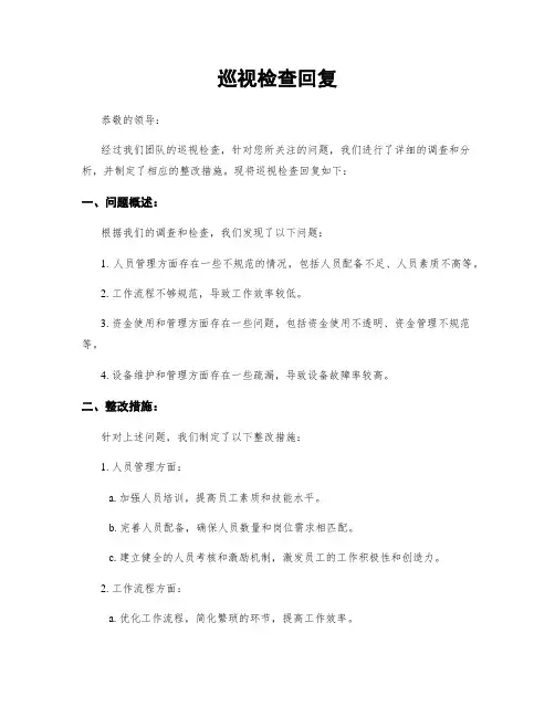 巡视检查回复