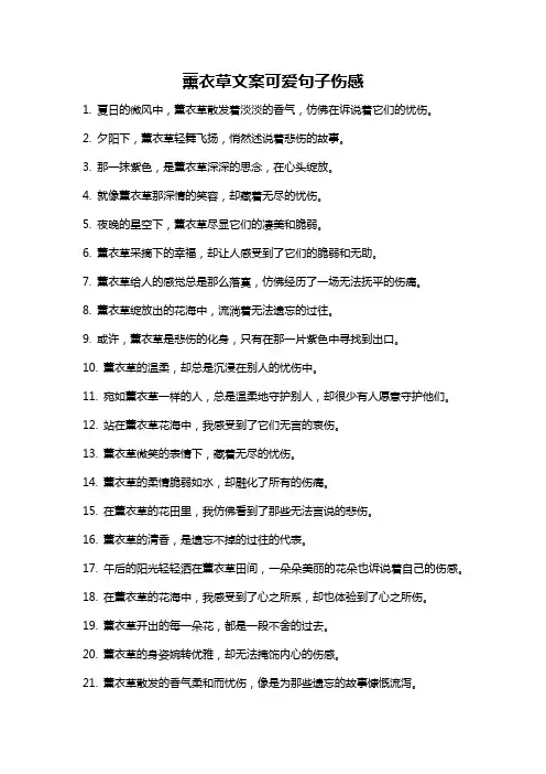 薰衣草文案可爱句子伤感