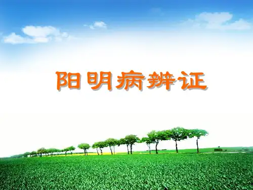 4阳明病辨证总结
