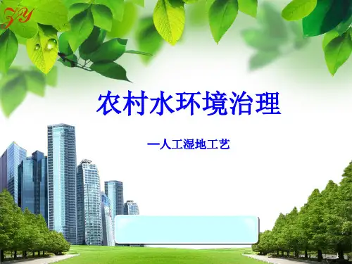 《农村水环境治理》PPT课件