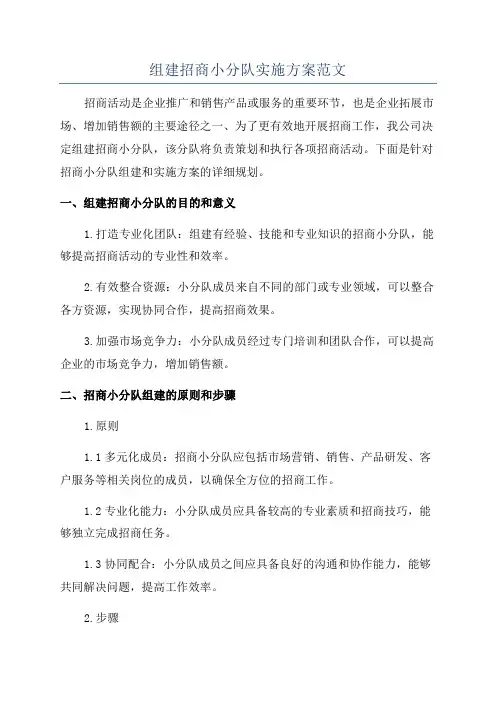 组建招商小分队实施方案范文