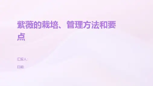 紫薇的栽培、管理方法和要点