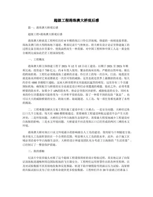 超级工程港珠澳大桥观后感