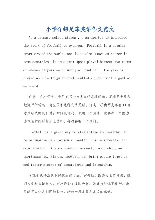 小学介绍足球英语作文范文