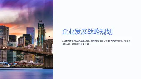 《企业发展战略规划》课件