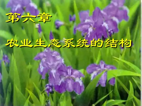 高中生物第六章--农业生态系统的结构