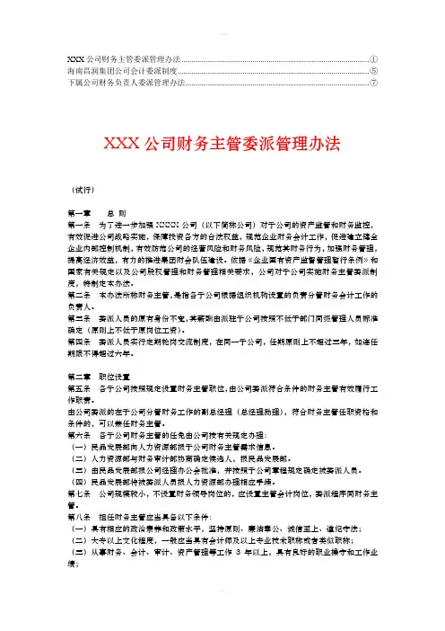 财务负责人任命与委派管理办法