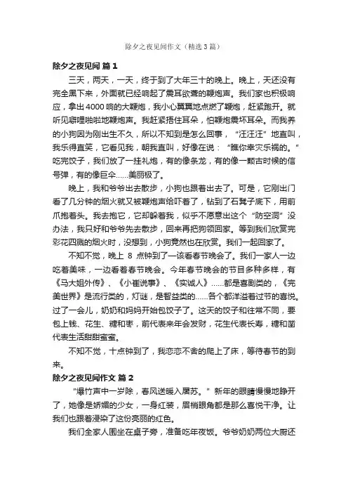 除夕之夜见闻作文(精选3篇)