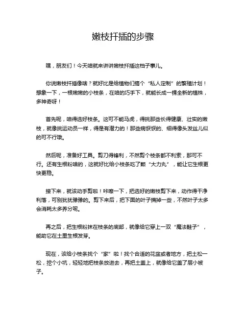 嫩枝扦插的步骤