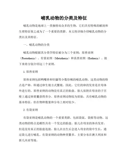 哺乳动物的分类及特征