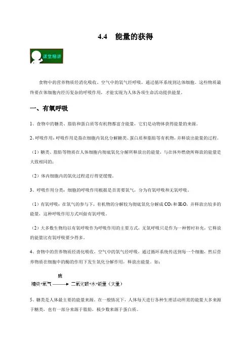 4-4 能量的获得 —浙教版九年级科学上册学案