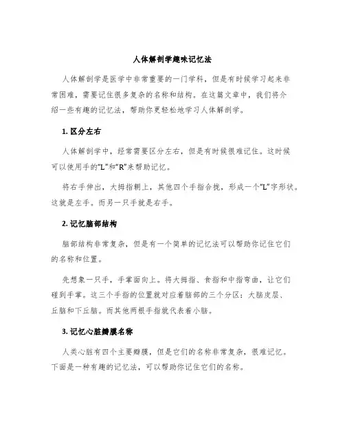 人体解剖学趣味记忆法