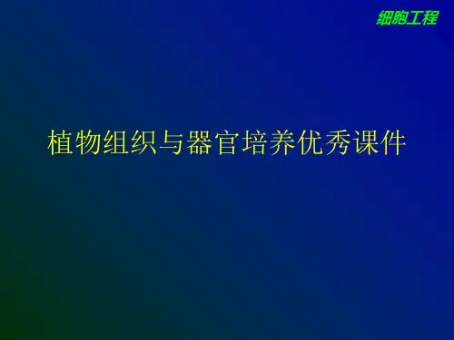 植物组织与器官培养优秀课件
