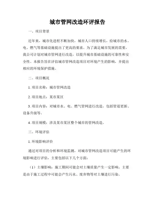 城市管网改造环评报告