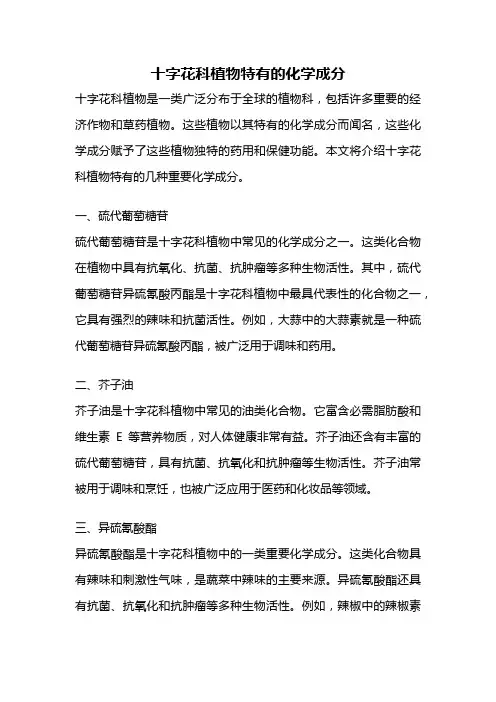 十字花科植物特有的化学成分