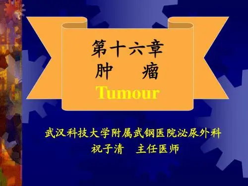 肿瘤课件完整版
