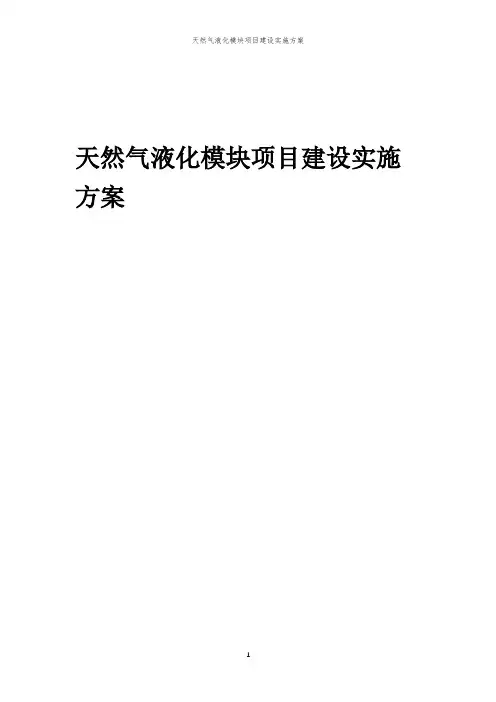 2024年天然气液化模块项目建设实施方案