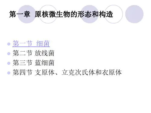第一章  原核微生物_PPT幻灯片