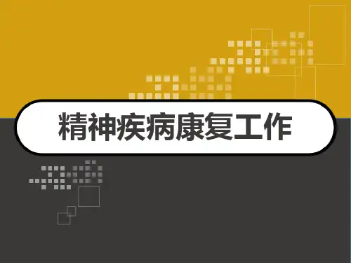 精神疾病康复工作 PPT