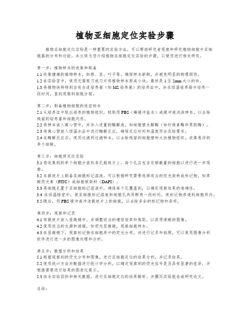 植物亚细胞定位实验步骤