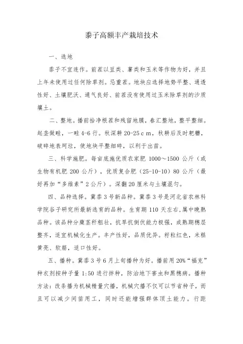 冀黍3号新品种高额丰产技术
