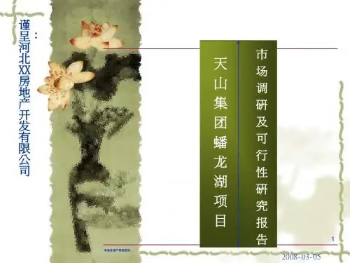 石家庄蟠龙湖项目及可行性研究市场调研报告-107页-2008年