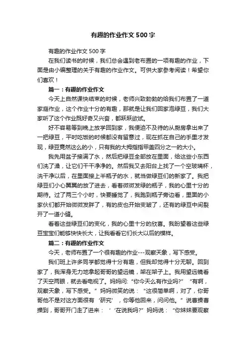 有趣的作业作文500字