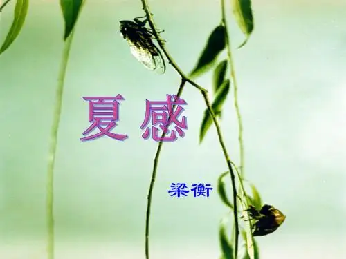 夏感PPT课件28 人教版 (共16张PPT)