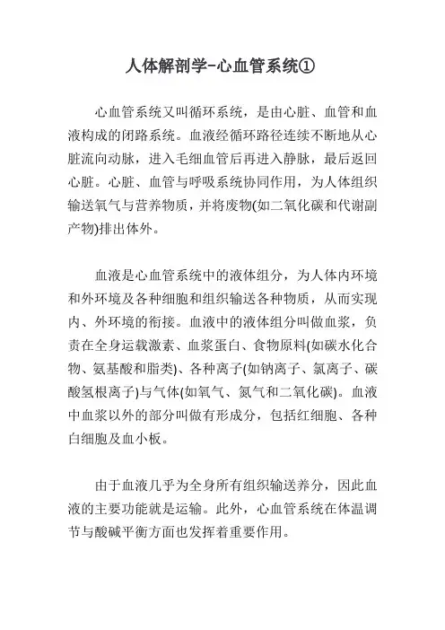 人体解剖学-心血管系统