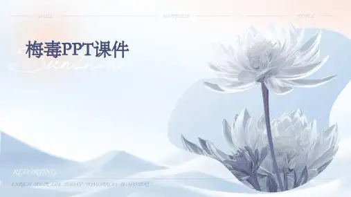 梅毒ppt课件
