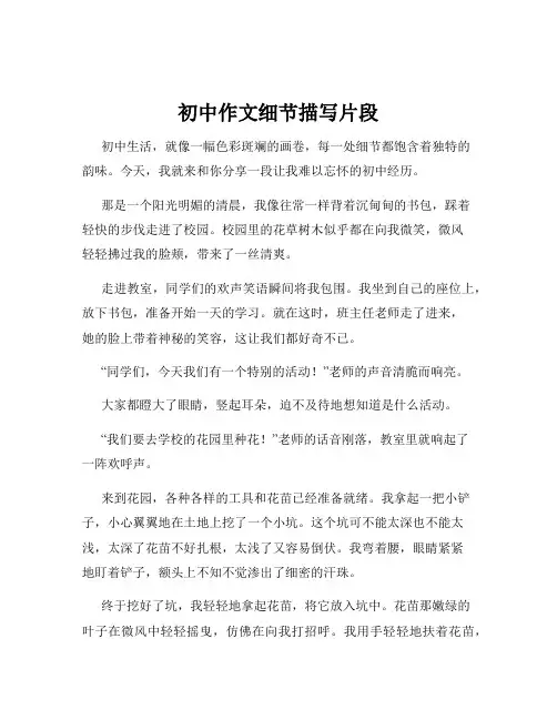 初中作文细节描写片段