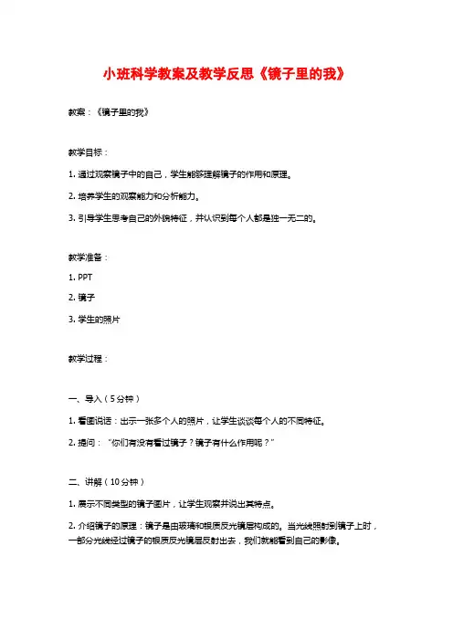 小班科学教案及教学反思《镜子里的我》