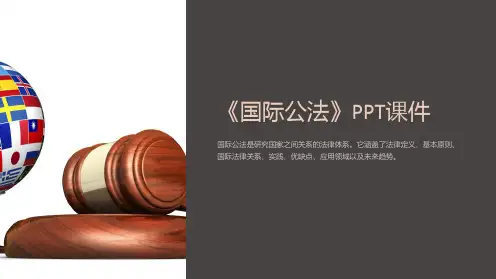 《国际公法》课件