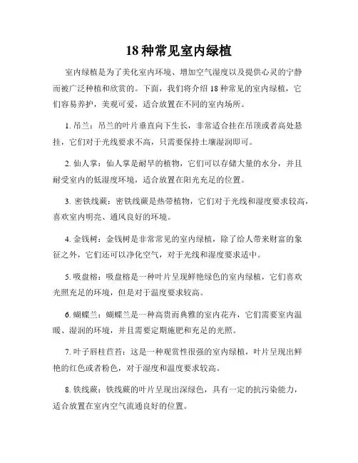18种常见室内绿植